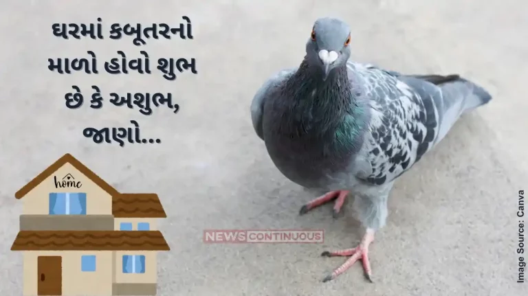 vastu tips pigeon nest in house is auspicious or inauspicious