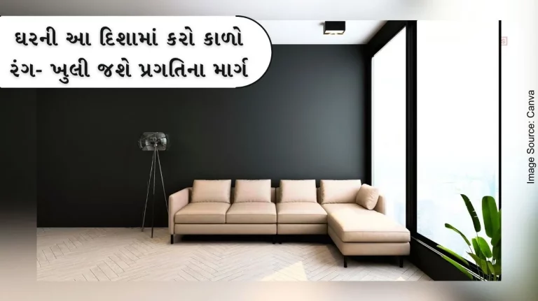 Vastu Tips Color black in this direction of the house - the path of progress will open