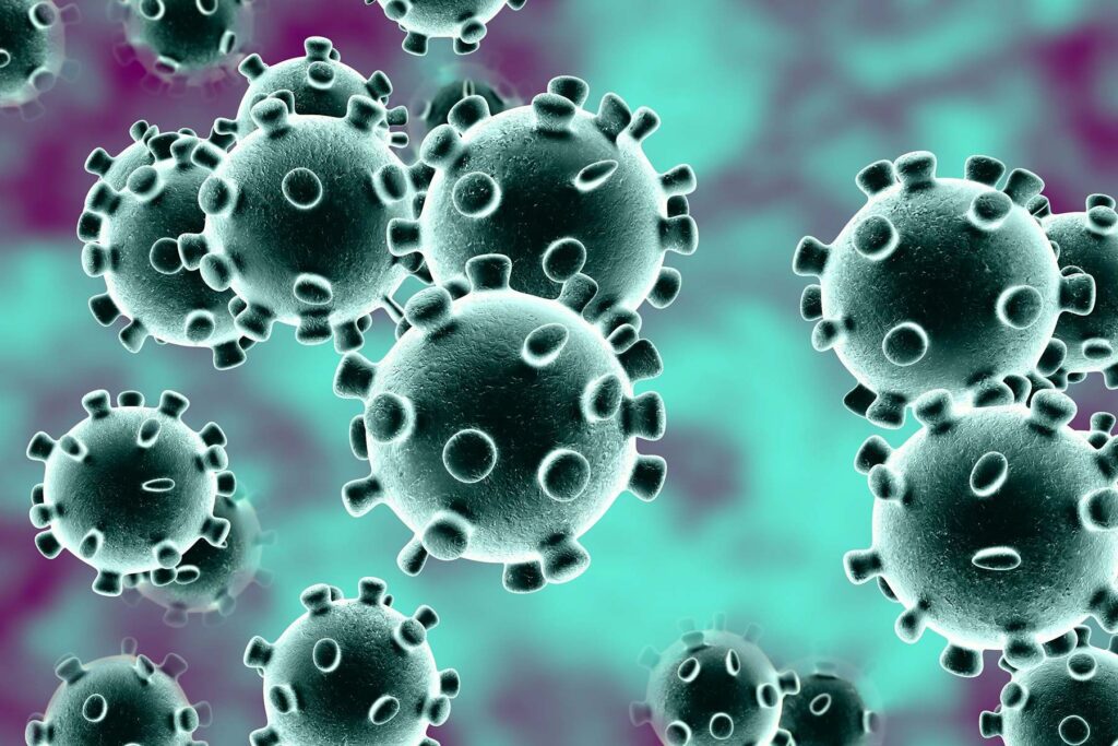 Marburg virus: WHO confirms outbreak of virus after 9 deaths