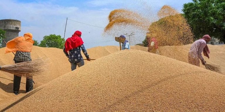 India to supply 10000 tons of wheat to Afghanistan India to supply 10000 tons of wheat to Afghanistan