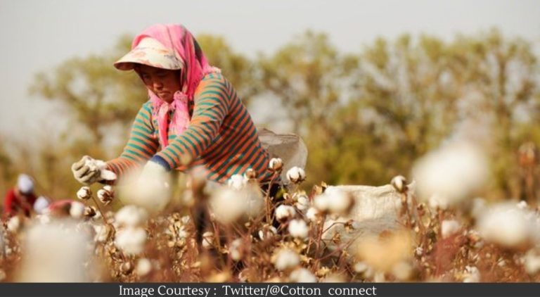 Ganpati-Grace-on-Cotton-farmers-of-India-neighbor-Countrys-Flood-crisis-benefits-indian-cotton-farmers_11zon71