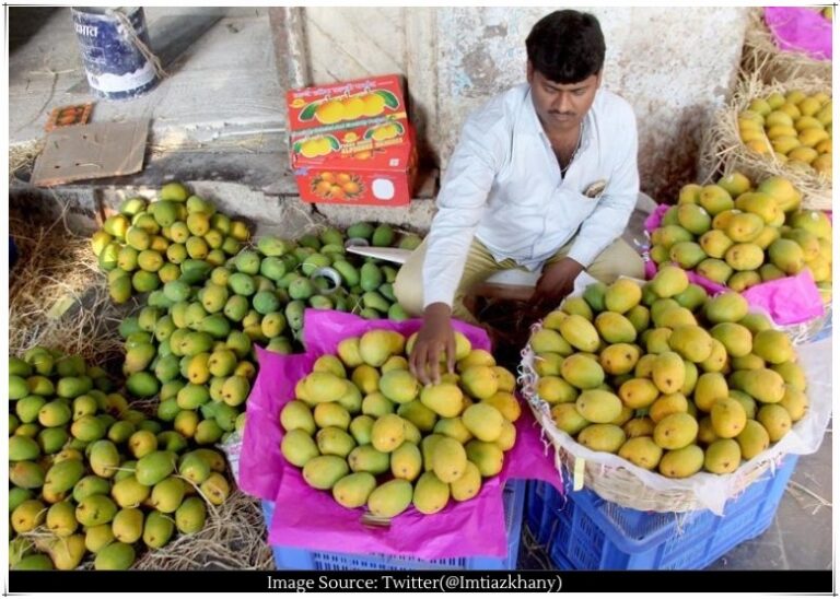 Unseasonal rains cause significant drop in mango prices the price of mangoes has fallen in the market
