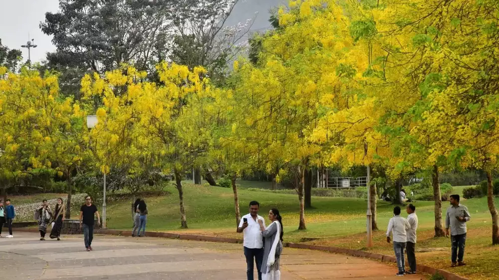 આને બહુમાન કહેવાય કે પછી ધતીંગ? એકબાજુ મુંબઈમાં આડેધડ વૃક્ષો કપાય છે ત્યારે બીજી તરફ મુંબઈ શહેરને “ટ્રી સિટિઝ ઓફ ધ વર્લ્ડ”ની સૂચિમાં સ્થાન મળ્યું.