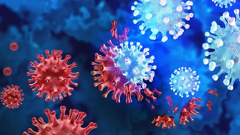 Fourth Covid wave unlikely, expect peak in 20 days, say experts Fourth Covid wave unlikely, expect peak in 20 days, say experts