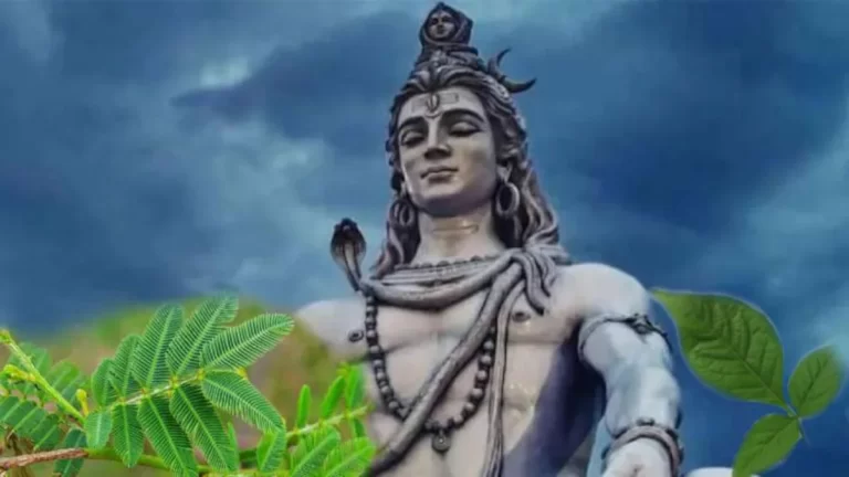 Padmini Ekadashi 2023: Date, Time, Puja Vidhi and Significance