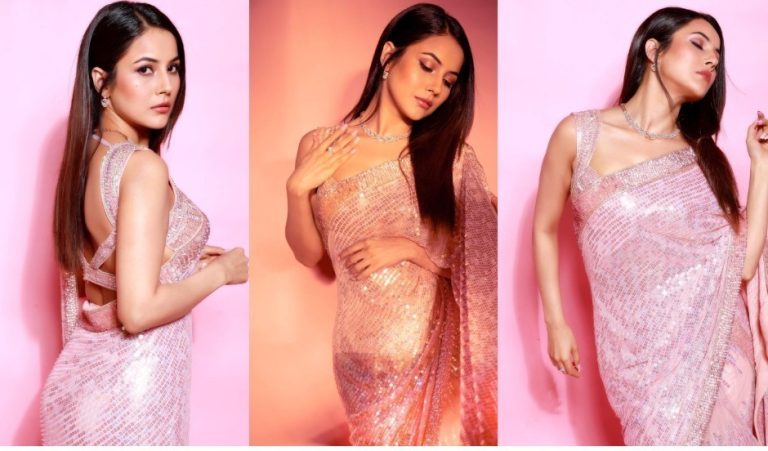 Shehnaaz-Gill-networth-Income_11zon-1