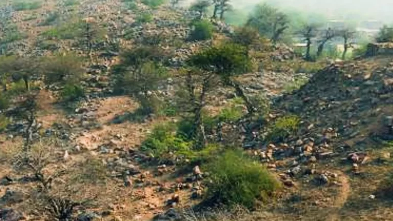 The-sacred-rocks-of-Govardhan-mountain-are-being-sold-on-Amazon-Mathura-police-administration-came-into-action.