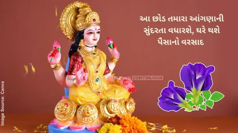 These graceful and beautiful plants will enhance the beauty of your yard, money will rain at home and Shani Dev's displeasure will be reduced.