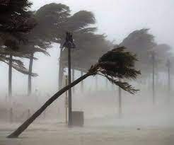 WhatsApp-Image-2021-05-25-at-11.01.06-AM