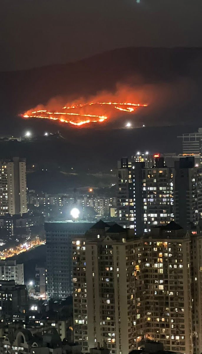 aarey forest fire