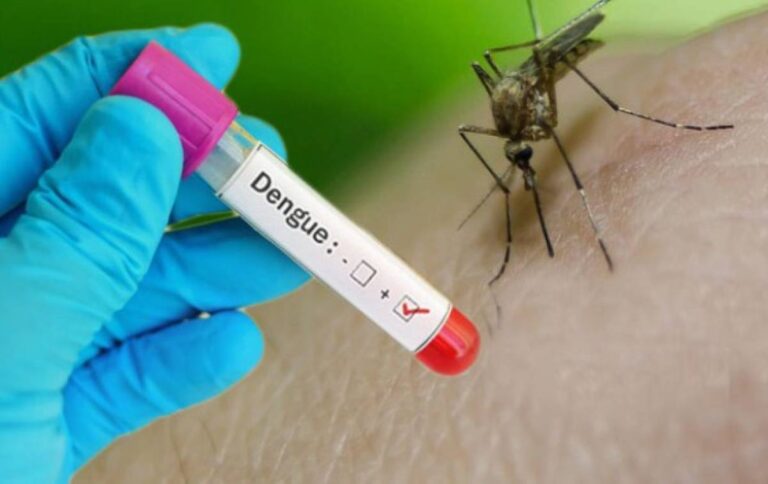 Viral Infection : Epidemics ravaged the state; 80 percent of malaria patients in Mumbai, Gadchiroli