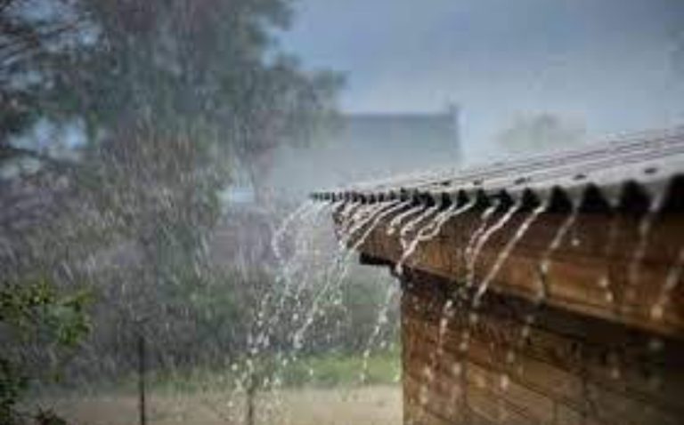 Rain in many parts of Gujarat Rain in many parts of Gujarat
