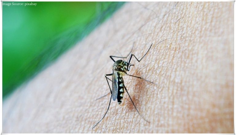 Mumbai Malaria: Mumbai accounts for 40% of 4.5k+ malaria cases in state