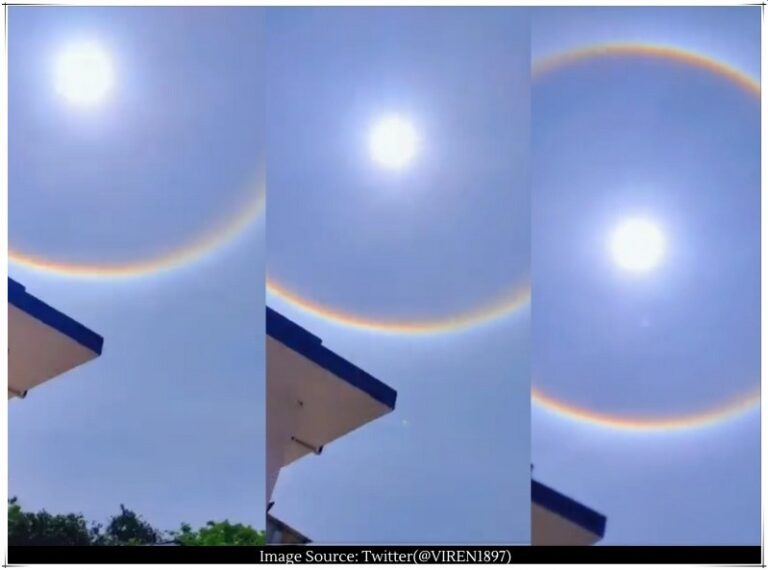 Rare Sun Halo seen in Prayagraj: What is the mysterious ring surrounding the Sun