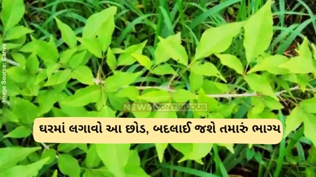 vastu tips for peace in house