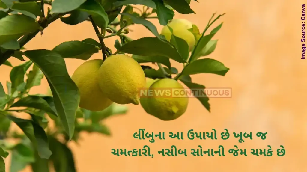 Astro Tips These Astrological Remedies Of Lemon