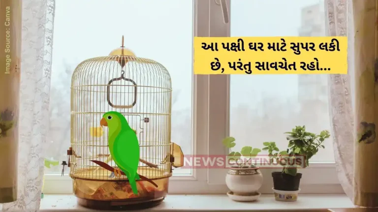Benefits Of Keeping Parrot at home
