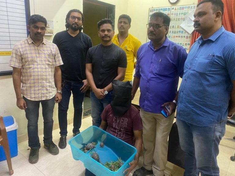 Wildlife trafficker held with 20 rare Indian star tortoises worth Rs 350000 in Borivali