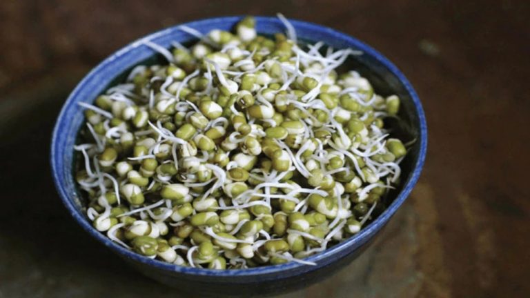 Impressive Health Benefits of Mung Beans Impressive Health Benefits of Mung Beans