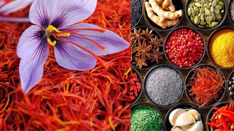 saffron-is-costlier-than-gold-and-silver saffron-is-costlier-than-gold-and-silver