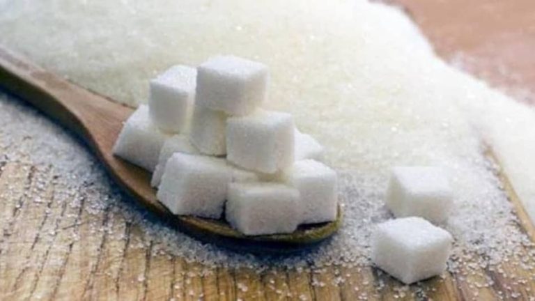 Triple money in 15 days, huge boom in this sugar stock Triple money in 15 days, huge boom in this sugar stock