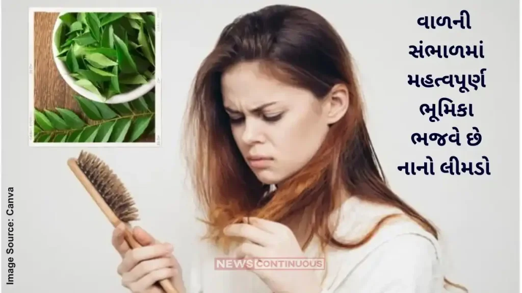 benefits and usage of neem for hair problems