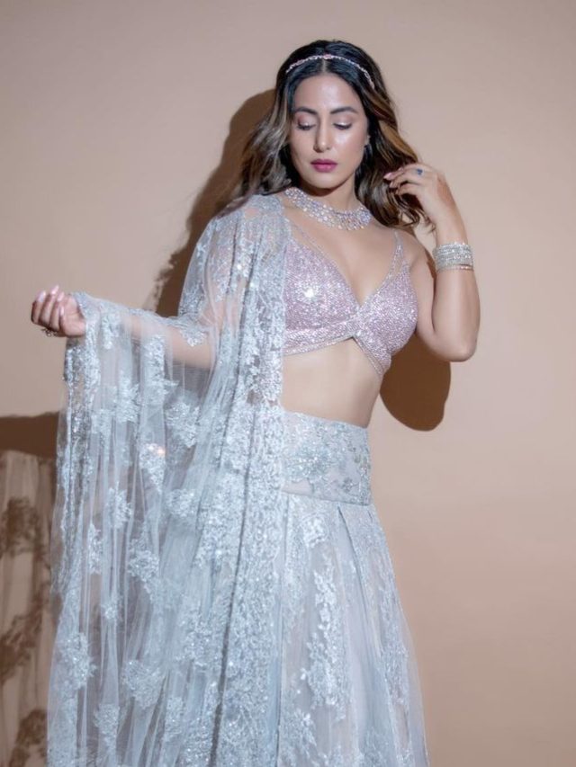 Hina Khan shared glamorous photos