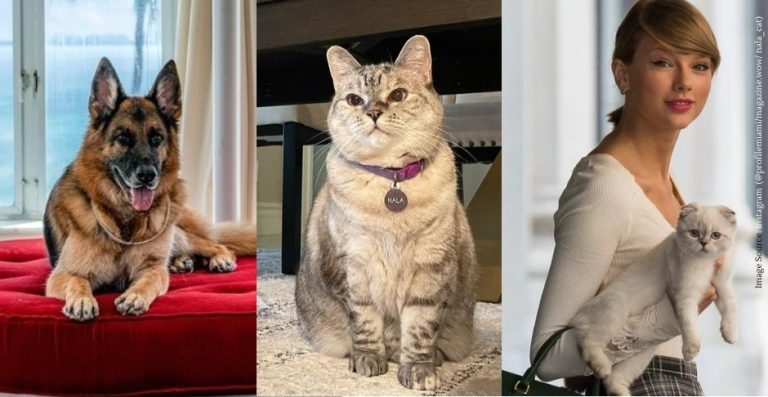 Meet The Worlds Five Wealthiest Pets