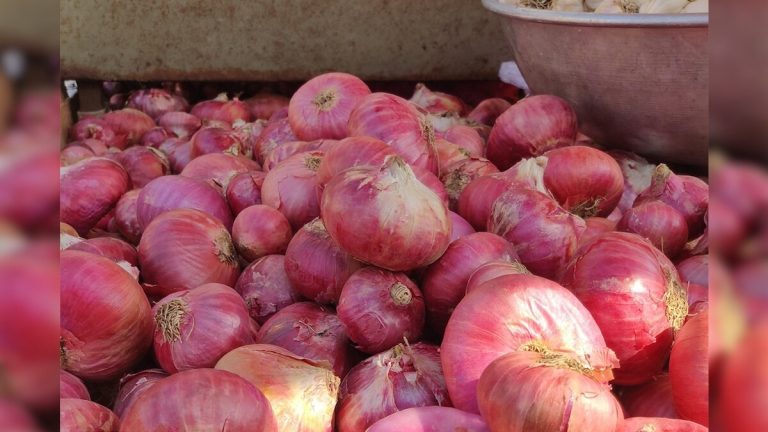 Government will sell onion at Rs 25 per kg in Delhi from today; Two lakh tonnes of onion will be procured for buffer stock. Government will sell onion at Rs 25 per kg in Delhi from today; Two lakh tonnes of onion will be procured for buffer stock.