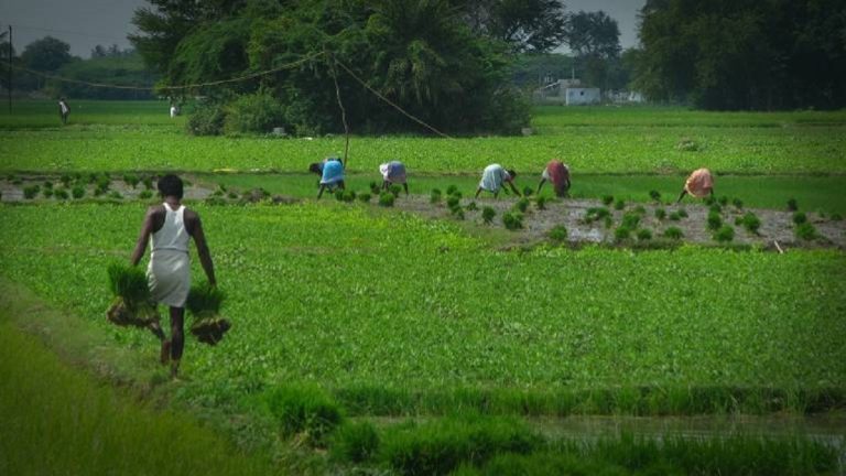 Union Budget 2023-FM Announces Rs 20 Lakh Cr for Agriculture Union Budget 2023-FM Announces Rs 20 Lakh Cr for Agriculture