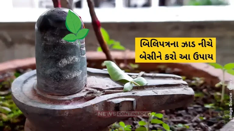 Do this remedy Sitting under bel patra tree, Mahadev will grace you Do this remedy Sitting under bel patra tree, Mahadev will grace you