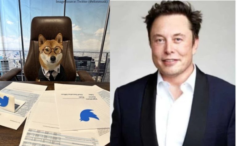 Elon Musk’s dog Floki takes over as Twitter CEO, sparks internet frenzy Elon Musk's dog Floki takes over as Twitter CEO, sparks internet frenzy