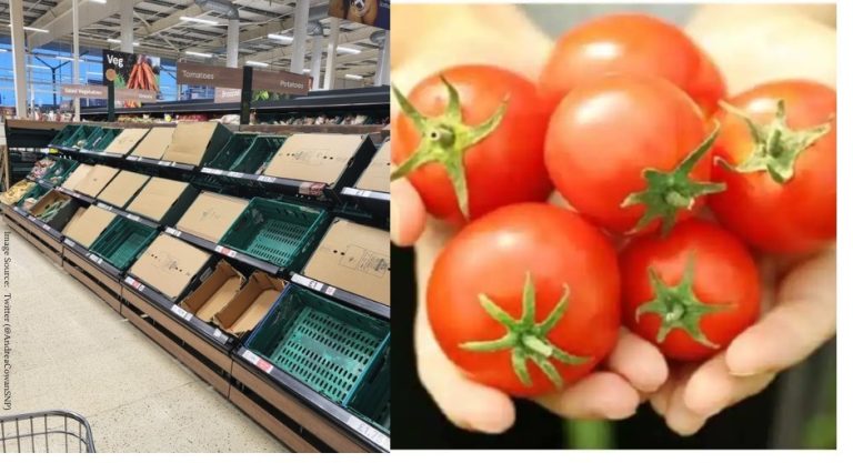 Rationing risk as tomato shortage hits UK supermarkets