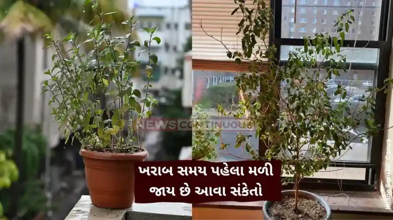 Signs that indicates bad time to come Signs that indicates bad time to come