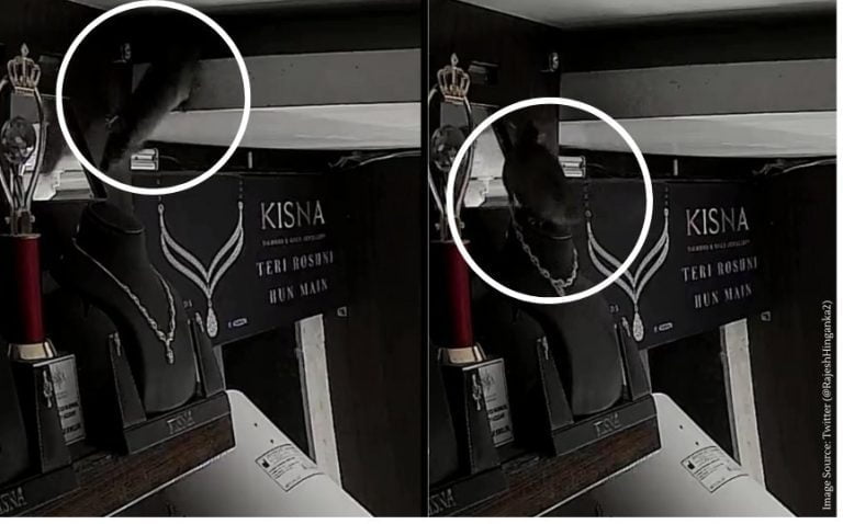 Rat Stole The Diamond Necklace