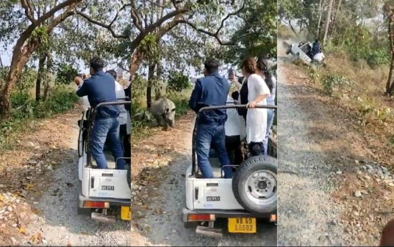 Rhino mom topples tourist SUV in Alipurduar; six injured