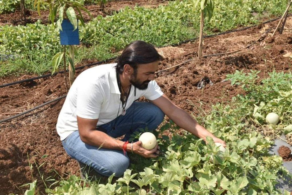 Progressive Farmer From Surat Leaves Engineering Studies To Cultivate With Modern Technology
