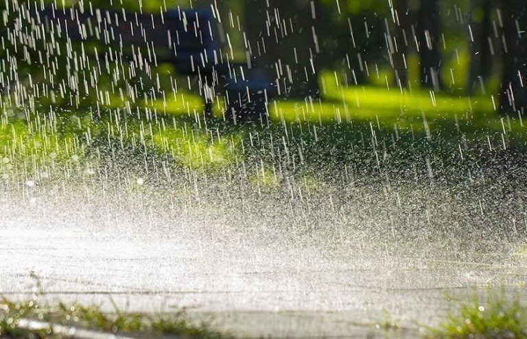 IMD predicts light to moderate rains, thunderstorms in parts of Maharashtra IMD predicts light to moderate rains, thunderstorms in parts of Maharashtra