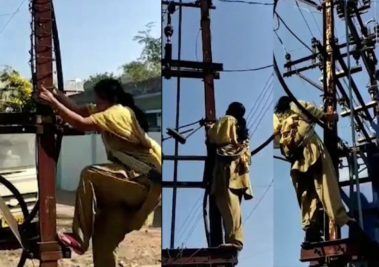 watch : international women's day msedcl shared a video of a linewoman woman