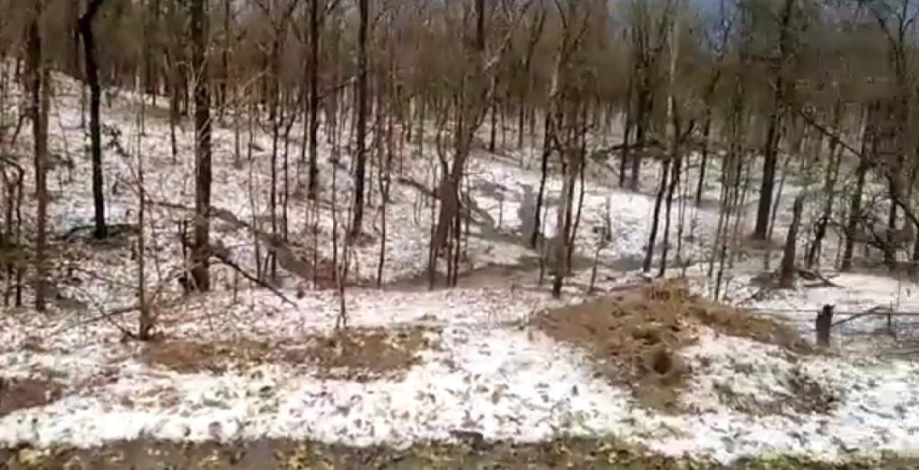hail storm at Pench Tiger Reserve, Maharashtra.