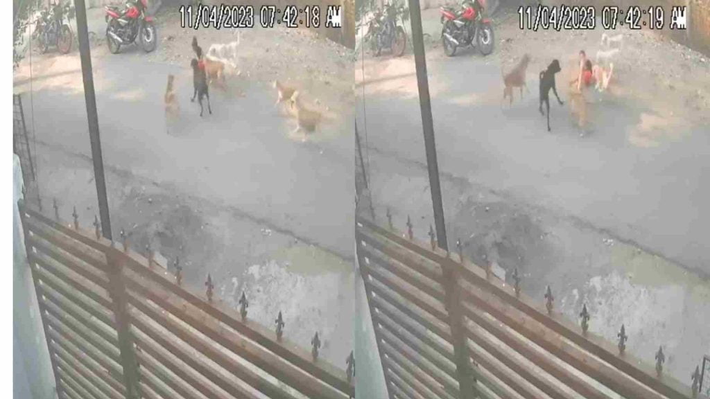 6-year-old boy attacked by dogs in Nagpur, horrifying VIDEO surfaces