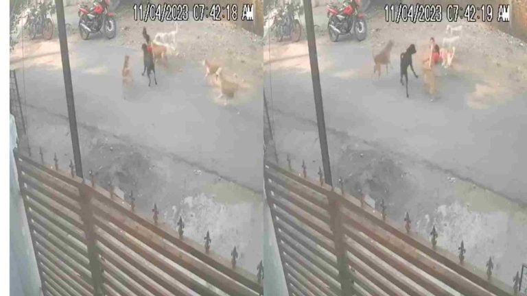 6-year-old boy attacked by dogs in Nagpur, horrifying VIDEO surfaces