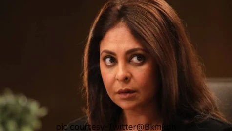 when delhi crime fame shefali shah became a victim of abuse in market the pain of actress