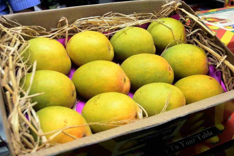 Eat now, pay later: Pune trader offers mangoes on EMI Eat now, pay later: Pune trader offers mangoes on EMI
