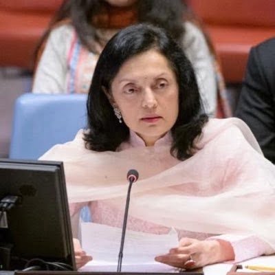 Illicit weapons supplied across border: India’s veiled attack on Pak at UNSC Illicit weapons supplied across border: India's veiled attack on Pak at UNSC