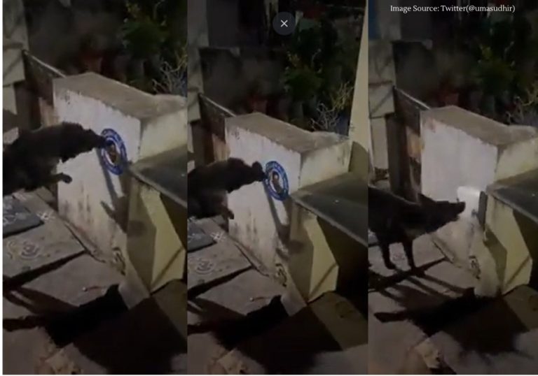 Women file police complaint against dog for tearing poster of Andhra CM