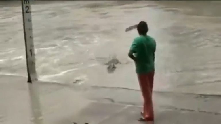Viral Video: Woman Scares Off Crocodile With Her Slippers