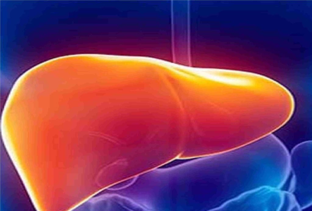 World Liver Day tomorrow