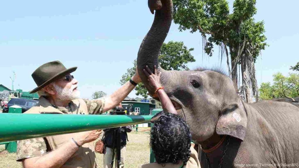 PM Modi feeds sugarcane to elephants at Mudumalai camp