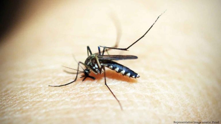 Zika virus cases: 15-year-old Kurla girl Mumbai’s 2nd Zika case; has no travel history Zika virus cases: 15-year-old Kurla girl Mumbai's 2nd Zika case; has no travel history